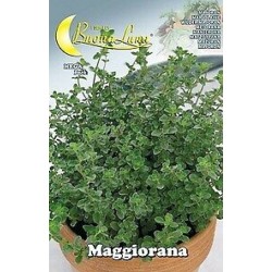 СЕМЕНА НА МАЙОРАНА