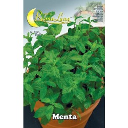 Семена - Мента (Mega Pack)