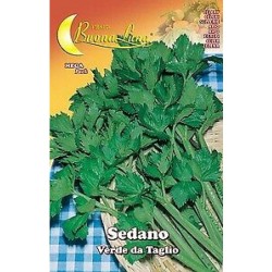 СЕМЕНА НА ЦЕЛИНА / ЛИСТНА /