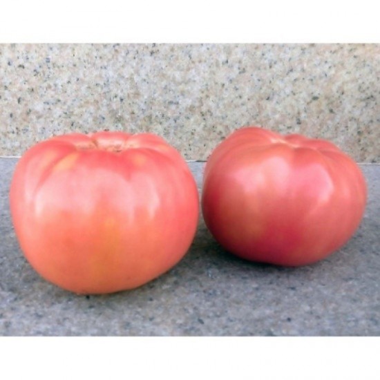 Семена за розови домати Роял Пинк ( Royal Pink )