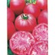 Семена на домати Пинк рок (Pink Rock F1)