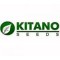 kitano