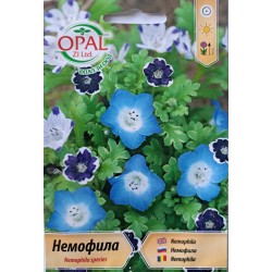 Семена на Немофила Микс / Nemophila species