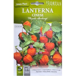 Семена на Физалис (Китайски фенер) / Lanterna Cinese