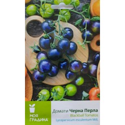 Семена на екзотични домати черна перла