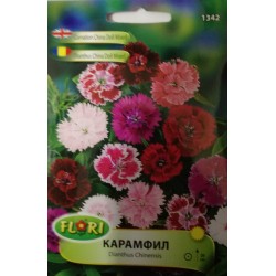 Семена на цветя Карамфил Чайна Дол Микс