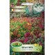 Семена от тлъстига микс - Sedum spectabile