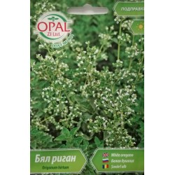 Семена на Бял риган