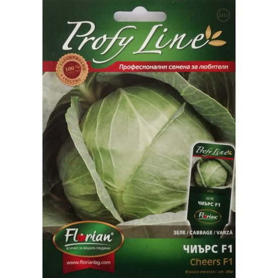 Семена на хибридно зеле Чиърс F1 (Brassica oleracea I. var. alba – Cheers F1) - от Taki seeds