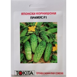 Семена корнишони Примус (Prymus)