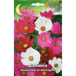 Семена - Космос (MEGA Pack)
