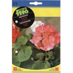 МУШКАТО МИКС (Pelargonium zonale) Variado 0.3 г