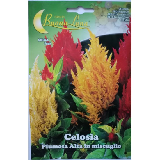 Семена на Целозия Hortes