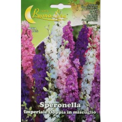 Семена Делфиниум кичест кралски микс/ Speronella