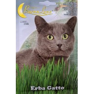 Семена на Котешка трева (Erba Gatto) – BuonaLuna