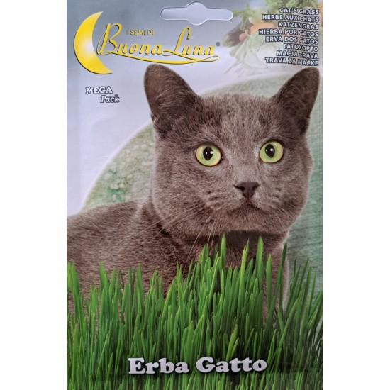 Семена на Котешка трева (Erba Gatto) – BuonaLuna