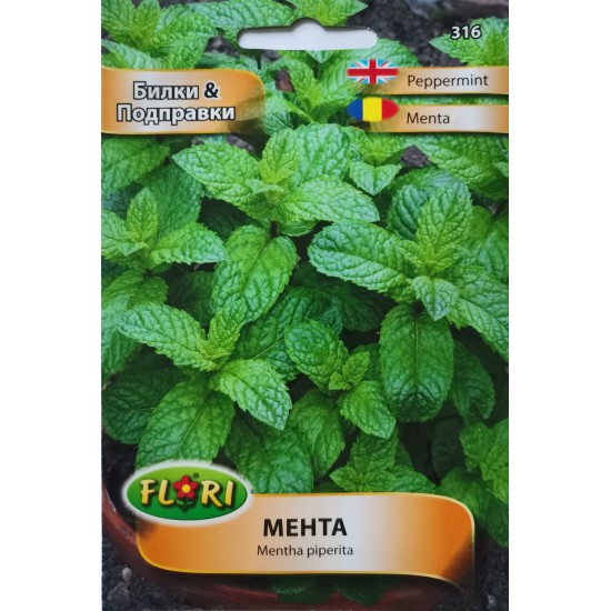 Семена на Мента