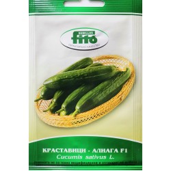Семена на Краставици Алиага F1 - Cucumber Aliaga F1