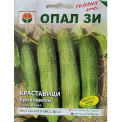 Семена на краставици Крокодилки