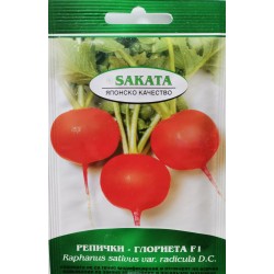 Семена на репички Глориета F1 Sakata