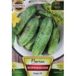 Семена на корнишони Одис F1