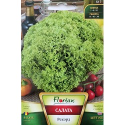 Семена на салата Рекорд