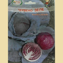 Семена на Червено зеле