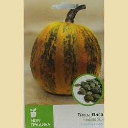 Семена на Тиква Юнона