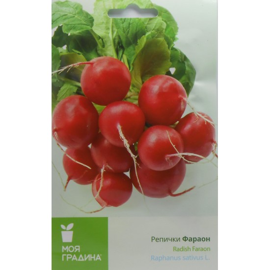 Семена на репички Фараон (Radish Faraon)