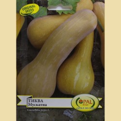 Тиква Мускатна