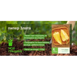 Семена на пипер Злата