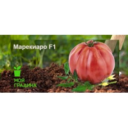 Семена на домати Марекиаро F1(Marechiaro F1)