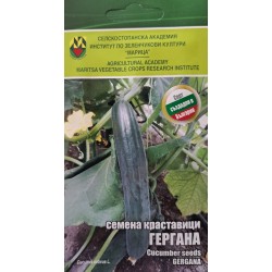 Семена на Краставици Гергана ИЗК Марица
