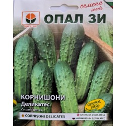 Семена на корнишони Деликатес