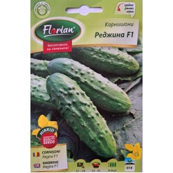 Семена на Корнишони Реджина F1