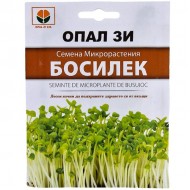 Семена микрорастения Босилек