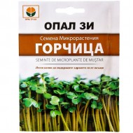 Семена микрорастения Горчица