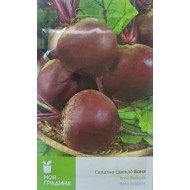 Салатно цвекло "Бона" - Beta vulgaris 