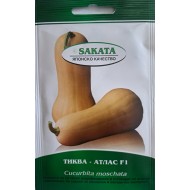 Семена на Тиква Атлас F1