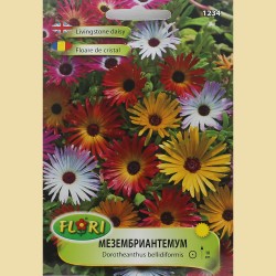Семена на Мезембриантемум (Обедно цвете)