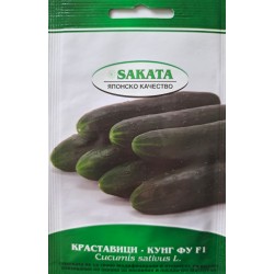 Семена на Краставици - Кунг Фу / Престиджосо F1/