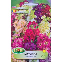 Семена на Матиола (Шибой)