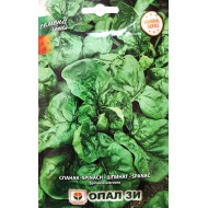 Спанак едър зимен