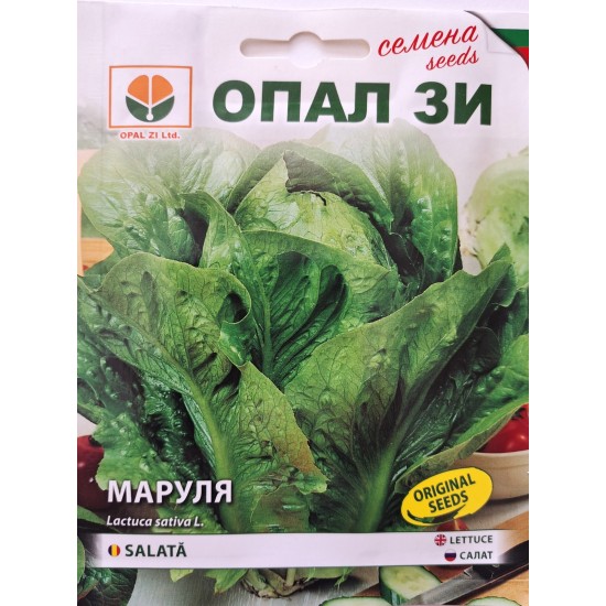 Семена на Маруля Валмаин (тъмно зелена)