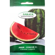 Семена дини СЕНСЕЙ F1 ( SENSEI F1 )-10 сем