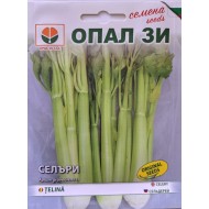 Семена на Селъри (Дръжкова Целина)
