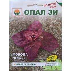 Семена за градинска Лобода червена / Atriplex hortensis