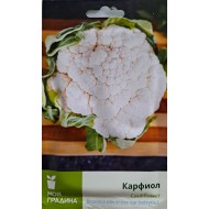 Семена на карфиол Делта