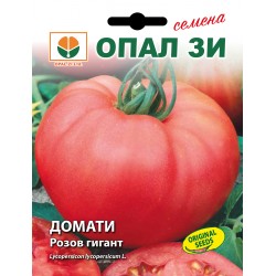 СЕМЕНА НА ДОМАТИ РОЗОВ ГИГАНТ