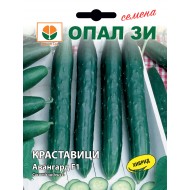 Краставици Авангард/ Avangard F1